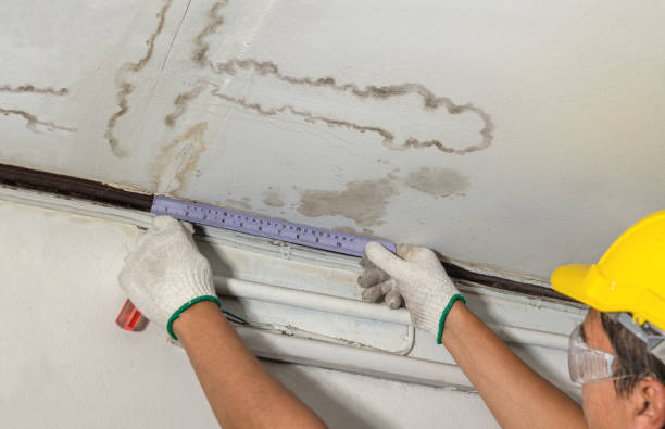Reliable Water Damage Repair contractor in Newcomb, TN by Aqua Guard Water Damage